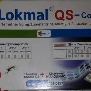 Lokmal